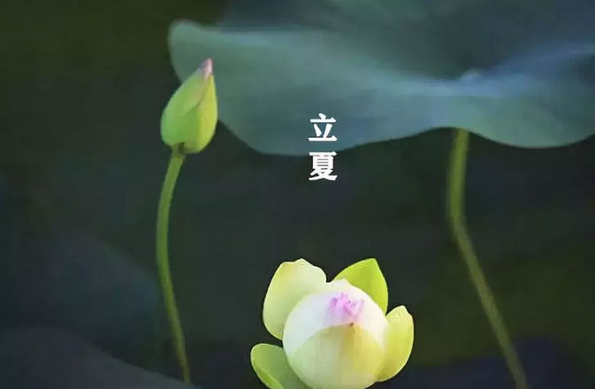 大白管業(yè):立夏你好,夏天你好!