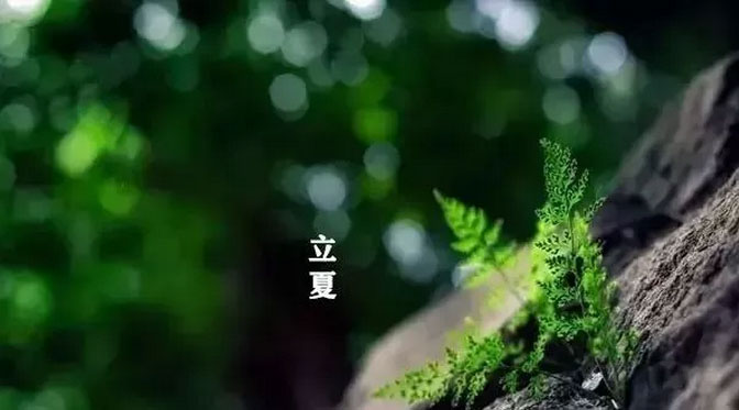 大白管業(yè):立夏你好,夏天你好!