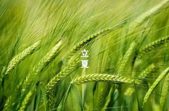 大白管業(yè):立夏你好,夏天你好!