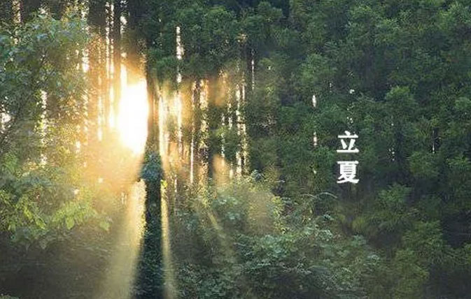 大白管業(yè):立夏你好,夏天你好!