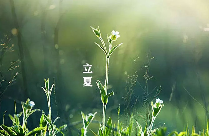 大白管業(yè):立夏你好,夏天你好!